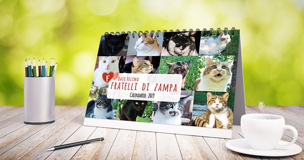 calendario Oasi Felina 2019