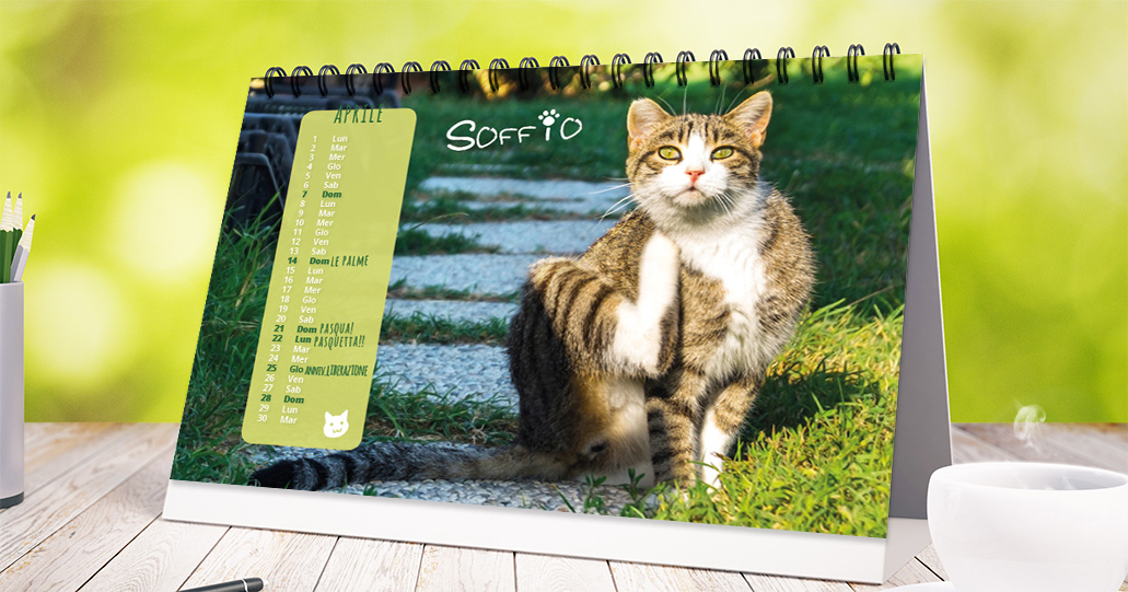 calendario Oasi Felina 2019